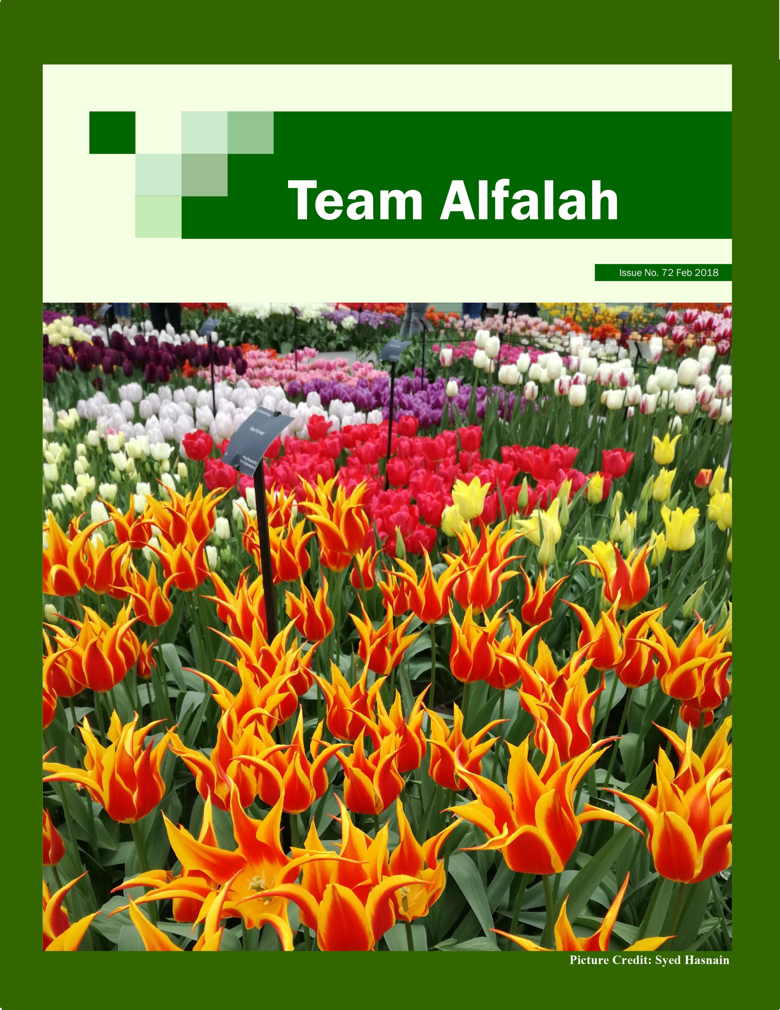 Team Alfalah - February 2018